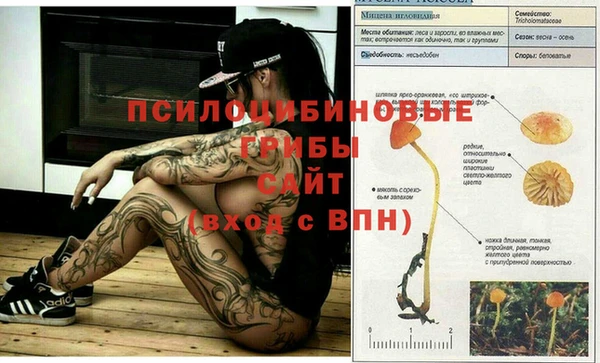 стафф Каменка