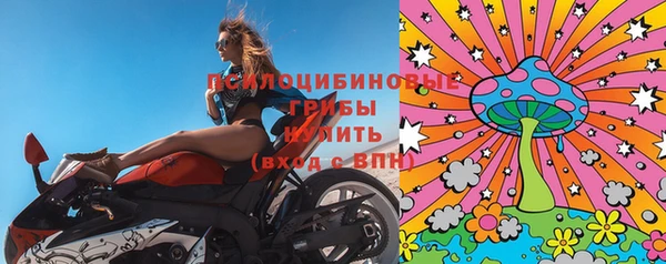 кокс Инта