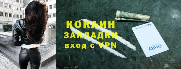 ешки Иннополис
