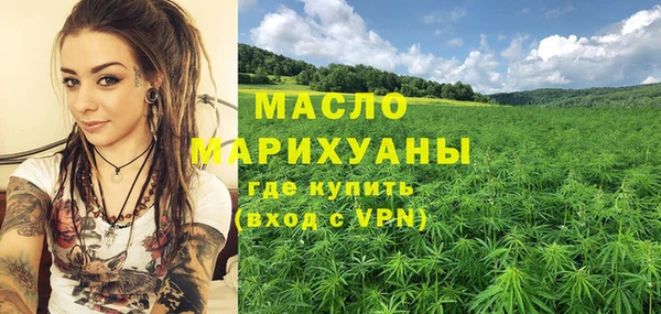 стафф Каменка
